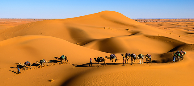 Wüstenabenteuer in Marokko