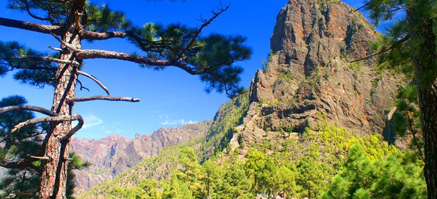 Caldera de Taburiente La Palma Urlaub