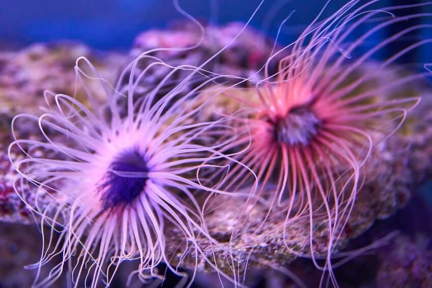 Aquarium in Palma de Mallorca