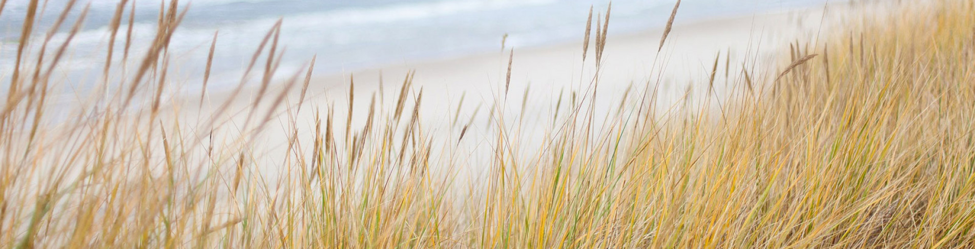 Ostsee Strandurlaub am Meer