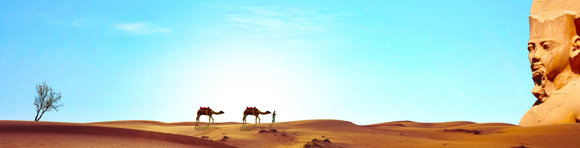 Kamelreiten im Ägypten Urlaub