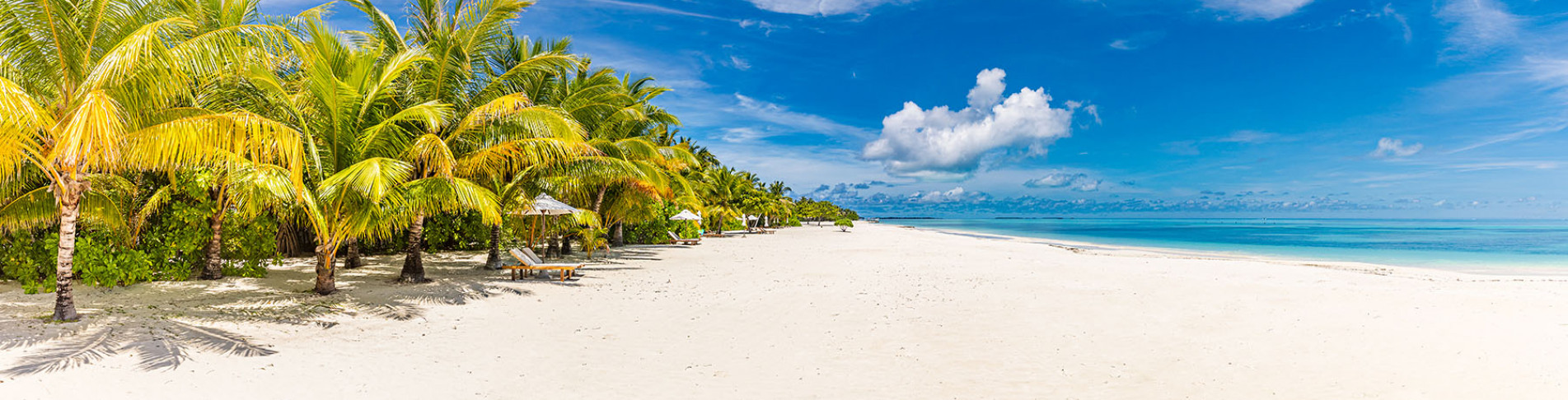 White sand and coco palms travel tourism wide panorama background concept.