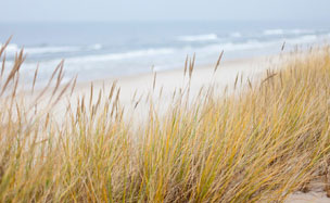 Reiseziel Ostsee Strandurlaub