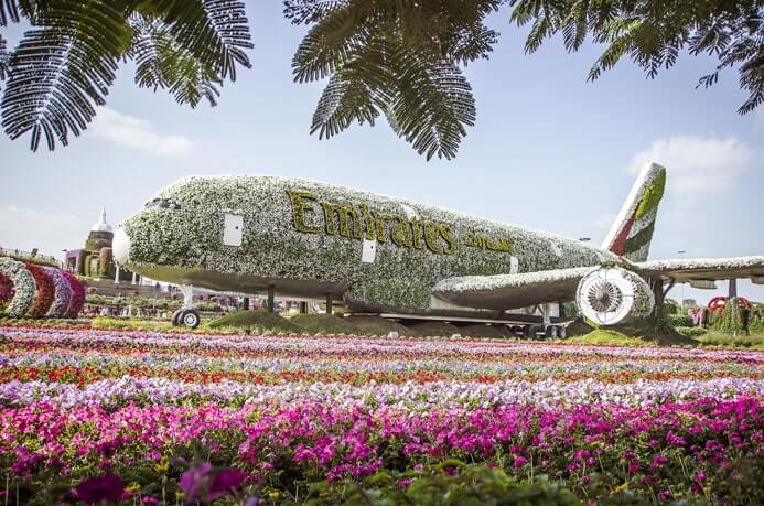 Flugzeug im Miracle Garden