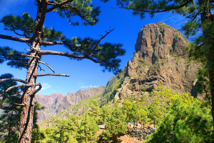 Kanaren Urlaub auf La Palma