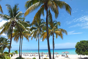 Palmen am Strand von Varadero