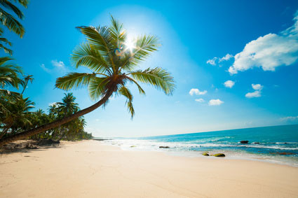 Last Minute zu den von Palmen gesäumten Stränden auf Sri Lanka.