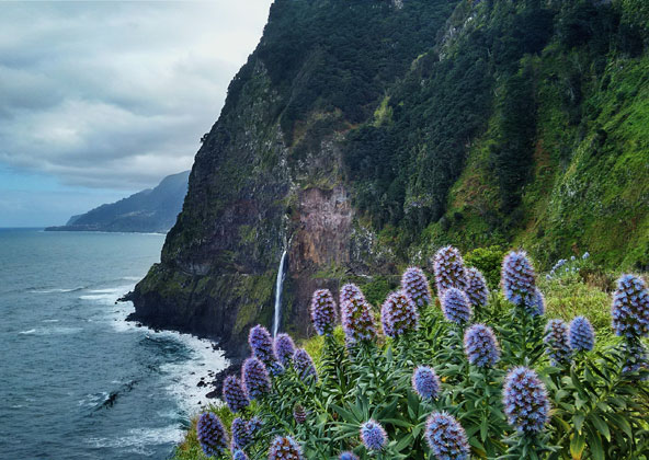 Madeira Urlaub im Grünen