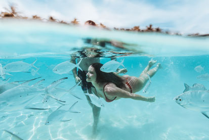 Malediven Strandurlaub | Unterwasserwelt beim Tauchen entdecken