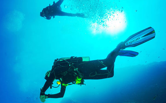 Unterwasserwelt von Marsa Alam entdecken