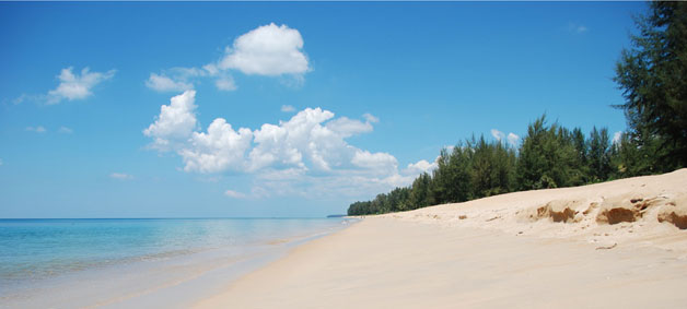 Mangroven am Strand von Mai Khao