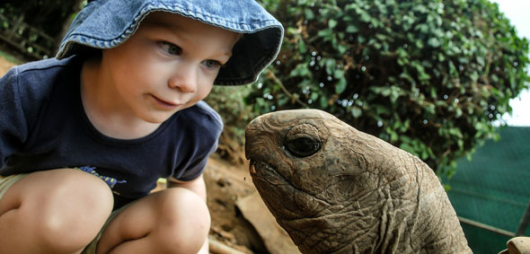 Kind mit Riesenschildkröte auf den Seychellen