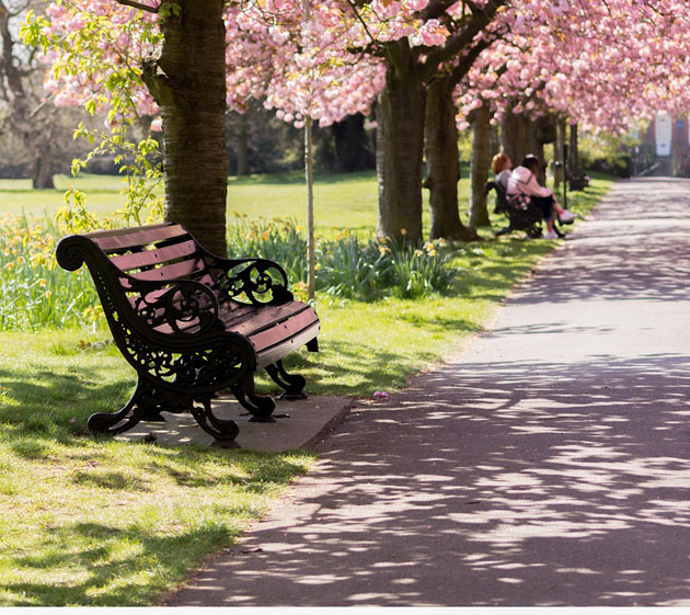 Park in London im Frühjahr