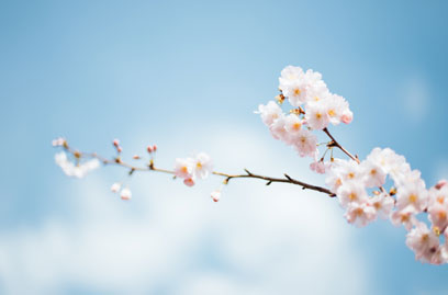 Frühling in München