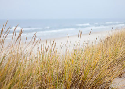 Strandurlaub buchen und an die Ostsee fliegen