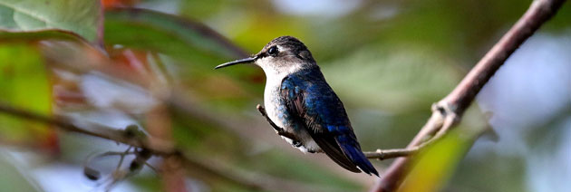 Varadero Urlaub mit einem Abstecher in die Natur